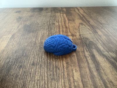 Brain Keychain "Use it" – Unique Motivational Gift | Geeky Accessory - Image 10