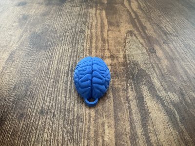 Brain Keychain "Use it" – Unique Motivational Gift | Geeky Accessory - Image 9